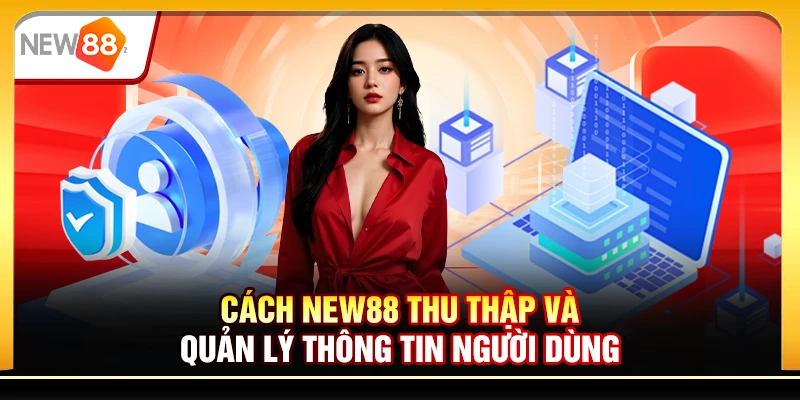 Cách New88 thu thập và quản lý thông tin người dùng