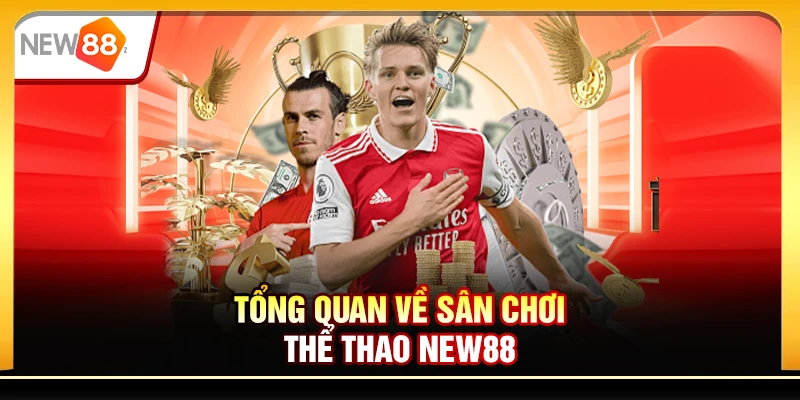 Tổng quan về sân chơi Thể thao New88